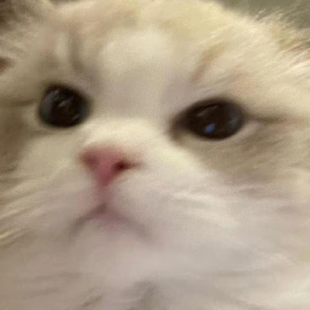 动心