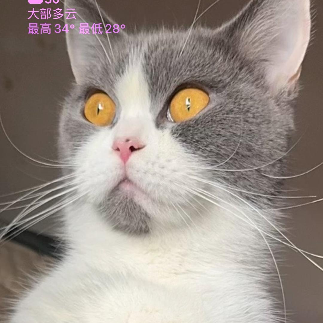 久遇