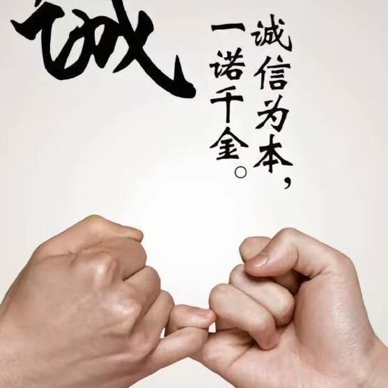 鹅行天下