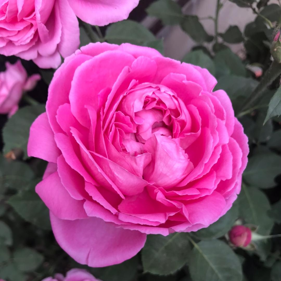 晚霞《拒绝私聊》