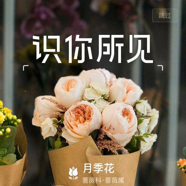 叮当猫