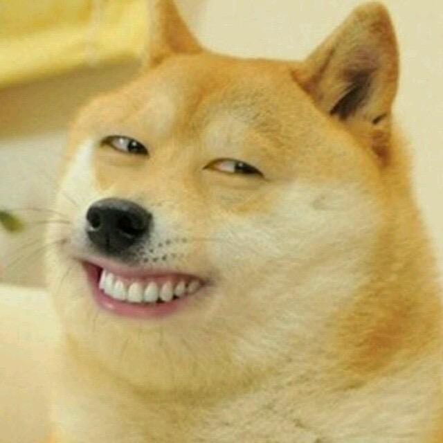 狗狗爱狗狗爱狗