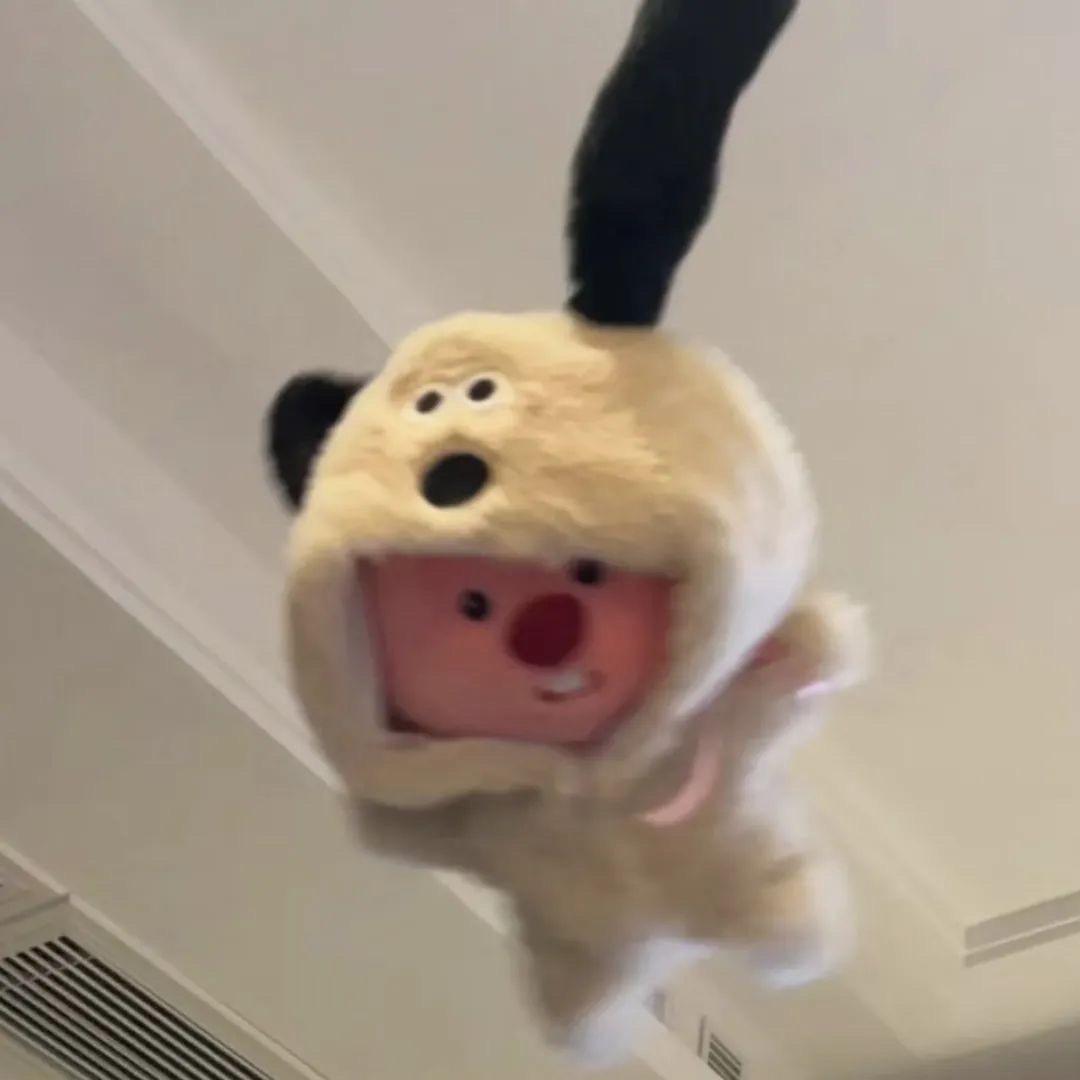 酷琦
