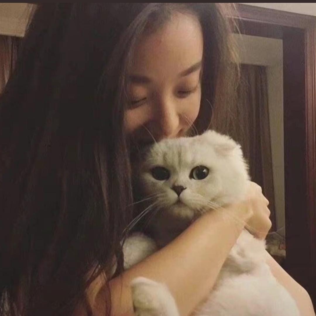 梦梦子