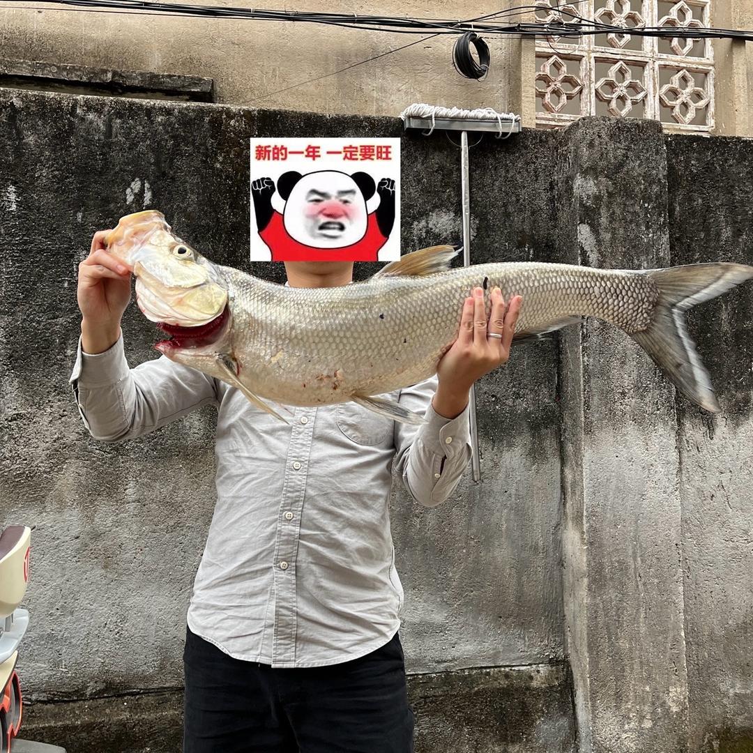 奥德彪拉香蕉🍌