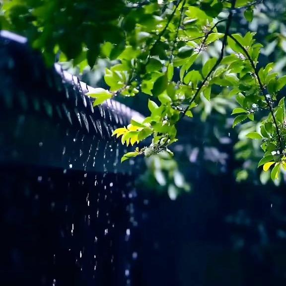 爱唱歌的三丫头