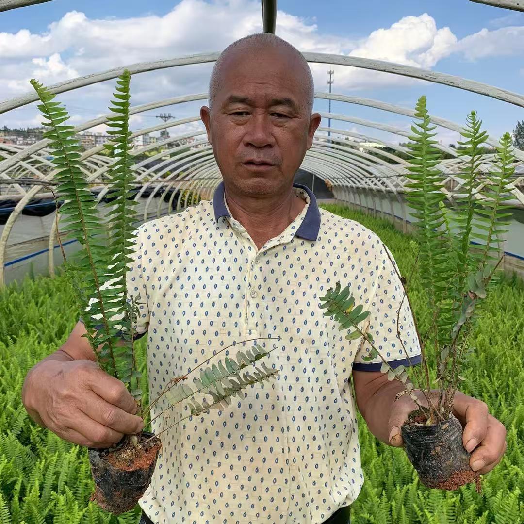 郑师花卉绿植种植园