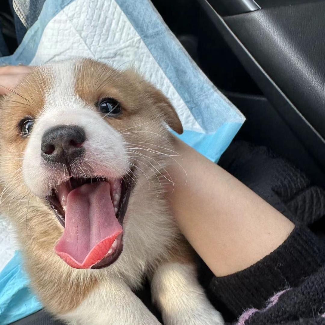 Charlie
