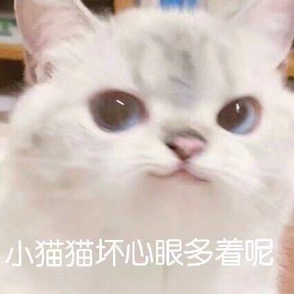 罗马尼亚水晶公主