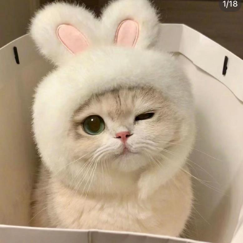 想想子🧸