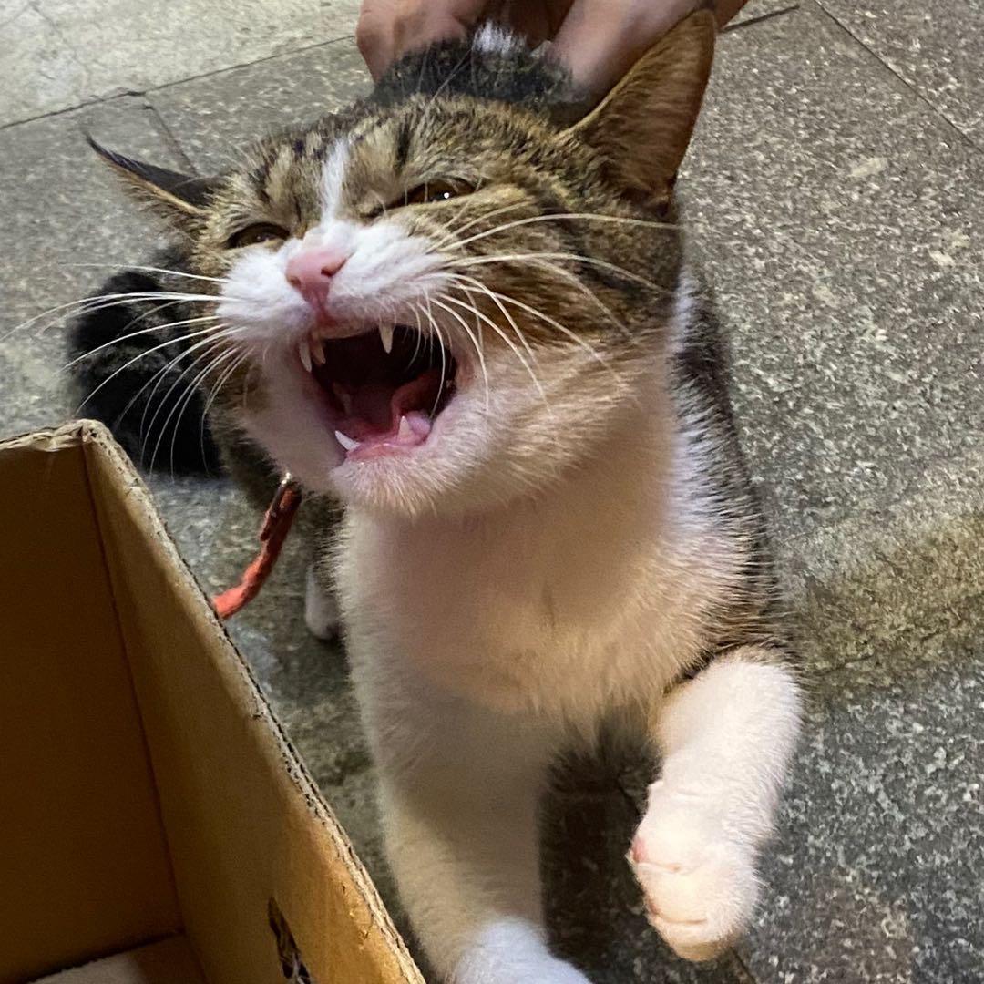 卷