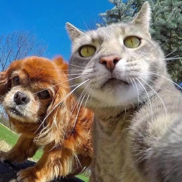 𝖏𝖎𝖆𝖓𝖌𝖈𝖆𝖎