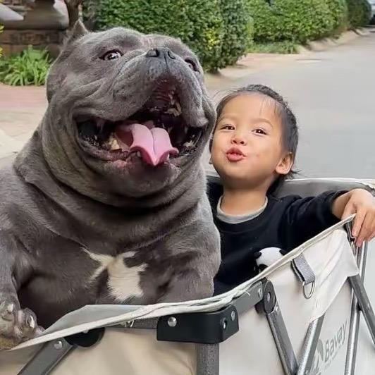 恶霸犬（超跑）