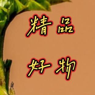 精品好物分享