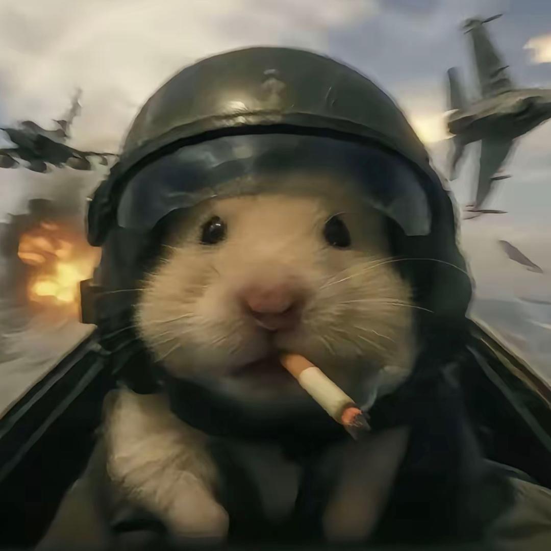 哈基鼠🐹