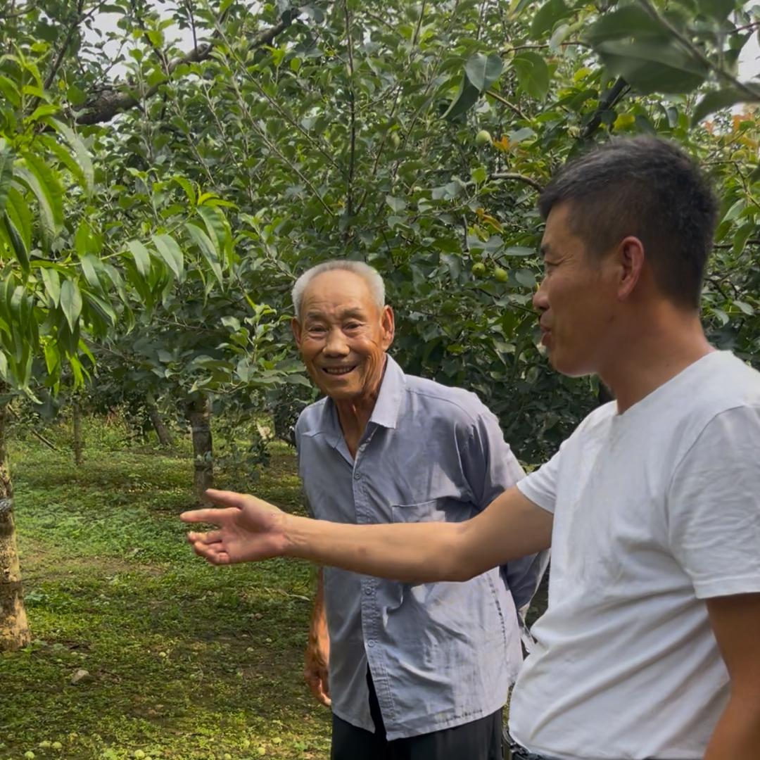 老王助农产地直发