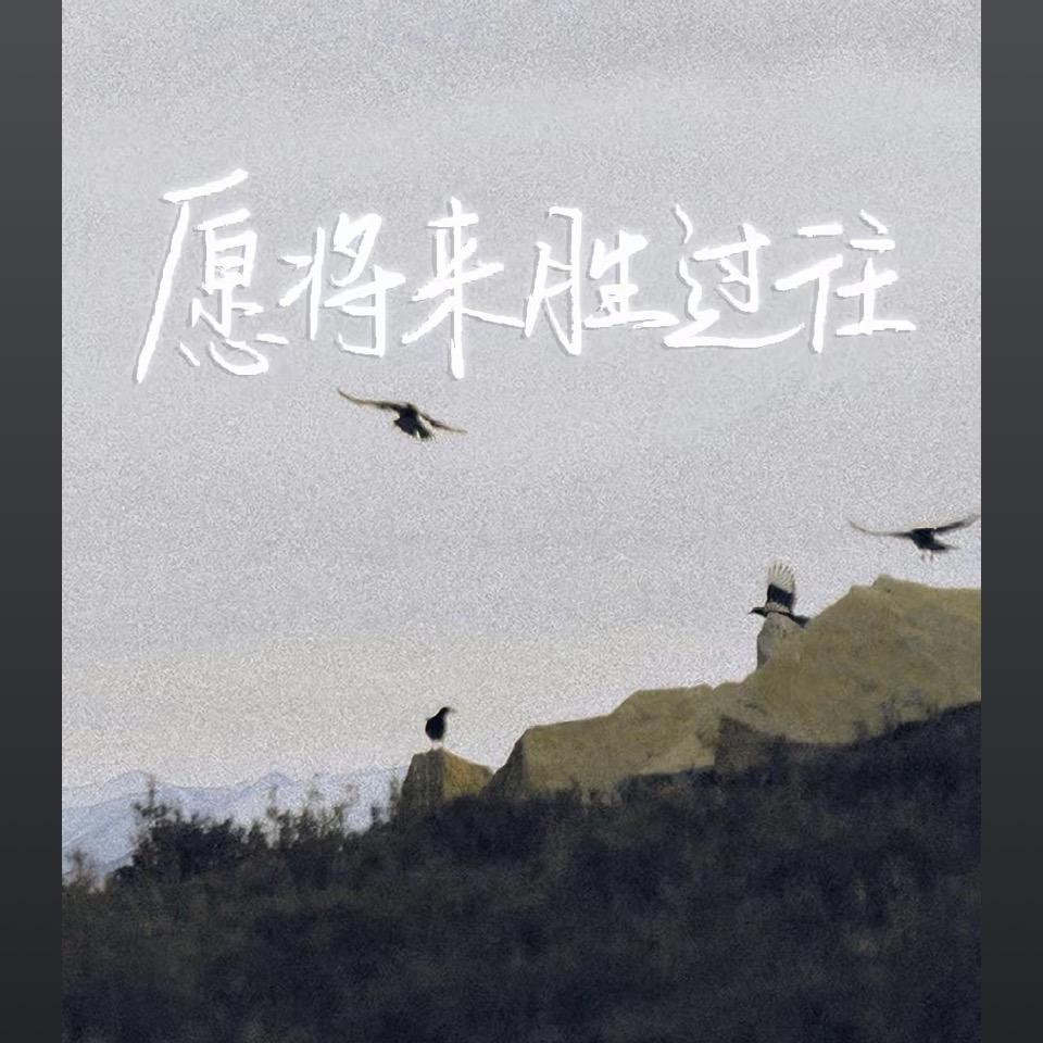 夏夜绚烂🎆