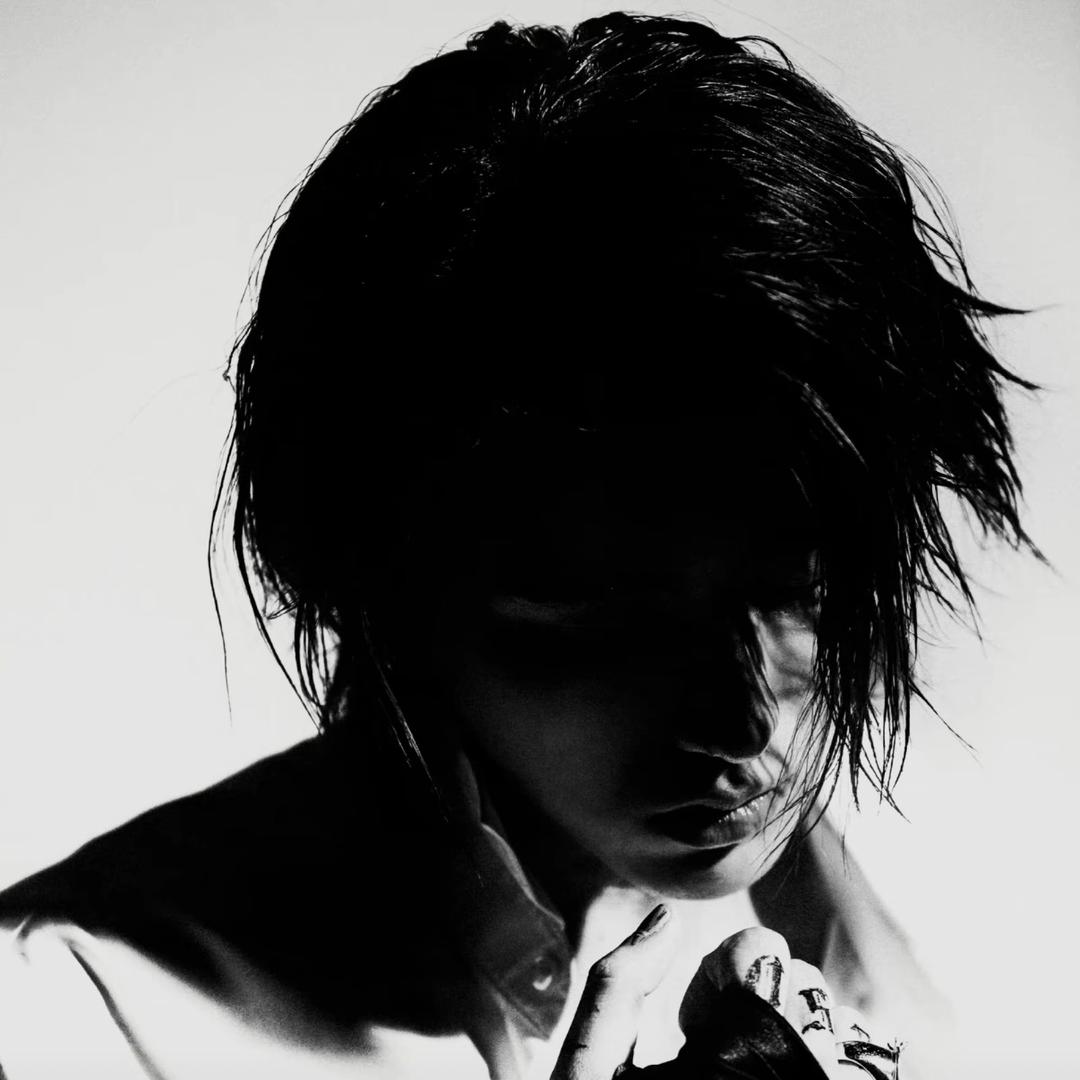 林黛玉倒拔垂杨柳