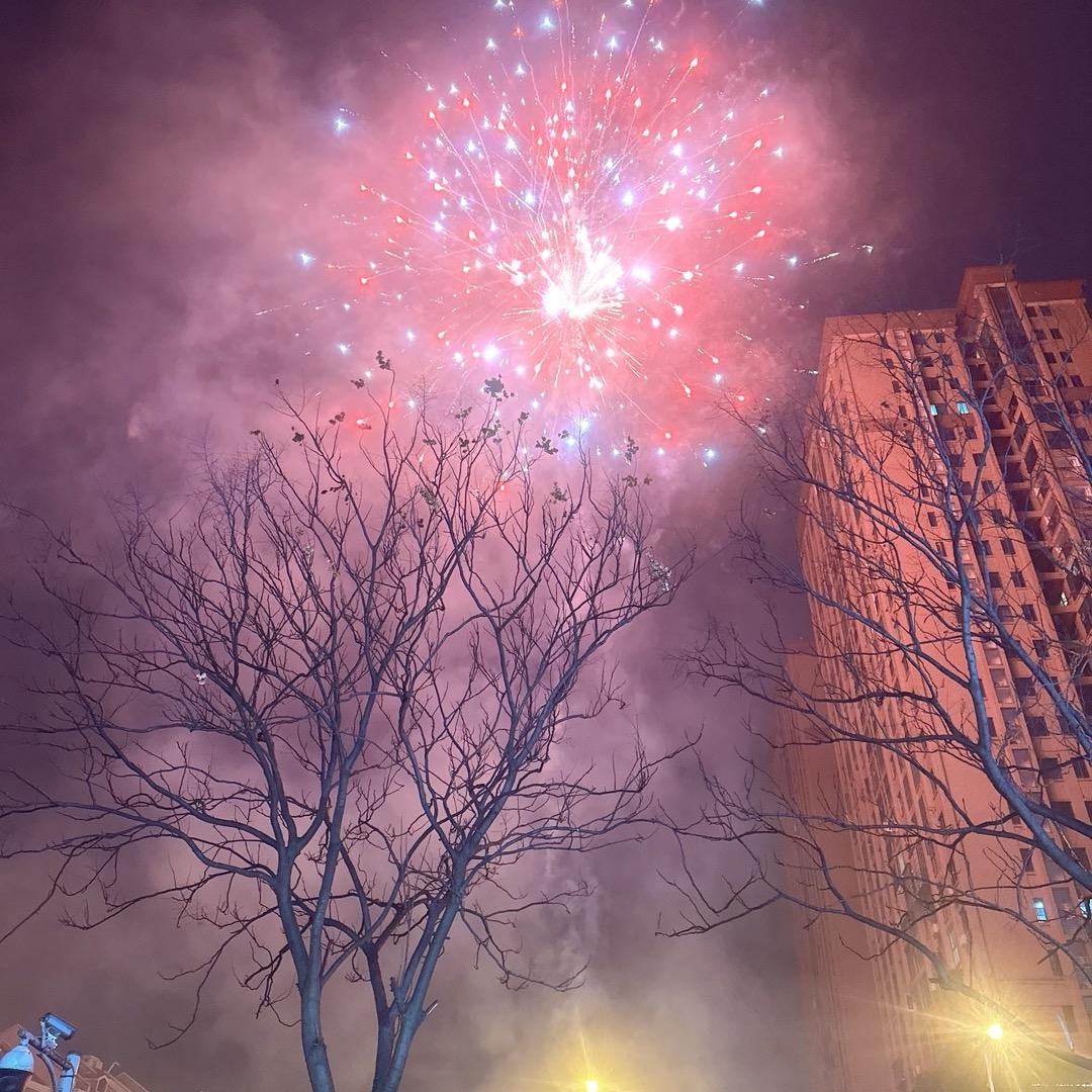 熊豆豆