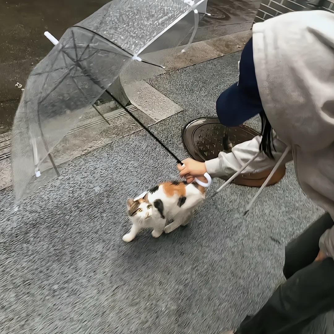 ——得偿所愿  .