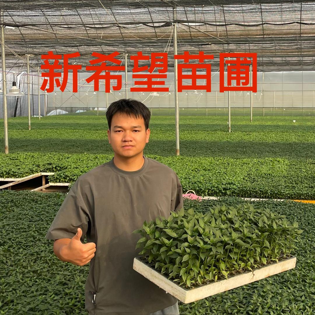 建水县新希望苗圃农民专业合作社