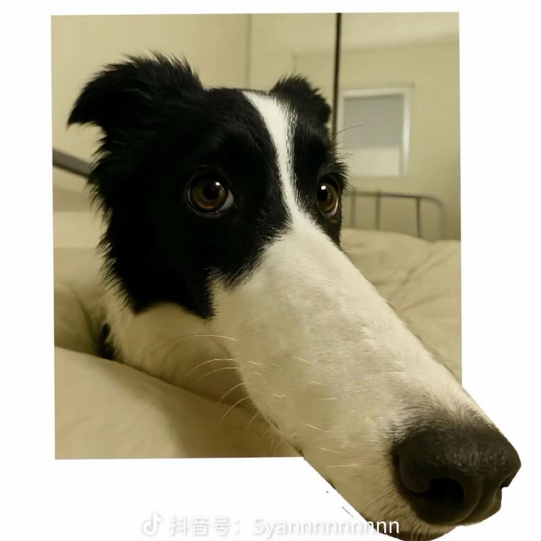 小莹莹😶‍🌫️