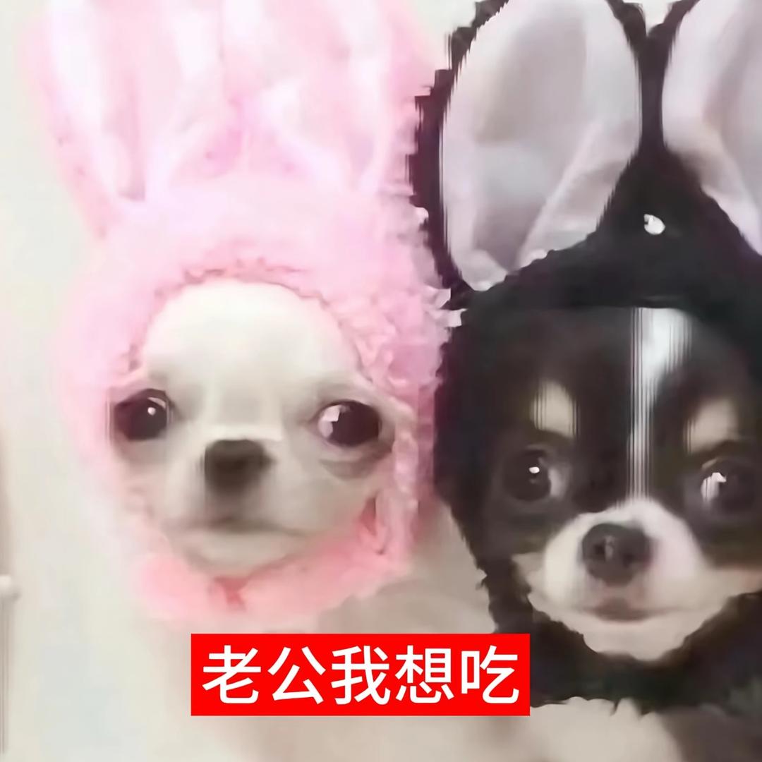 这么深的冰啊
