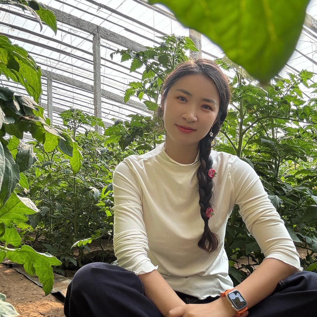孙氏番茄采摘园