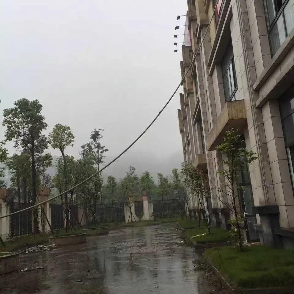 二哥
