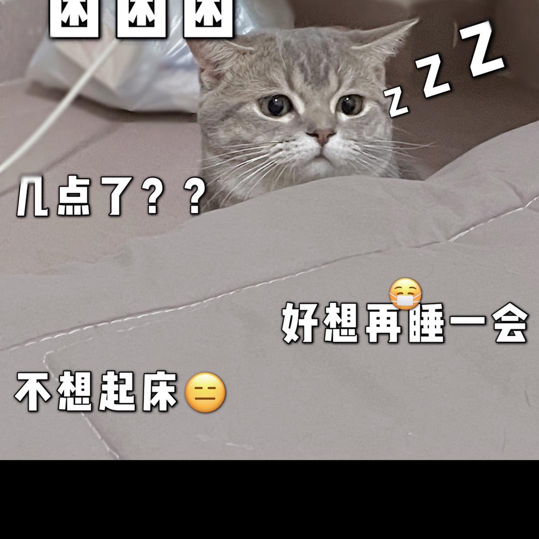@ZZZZ