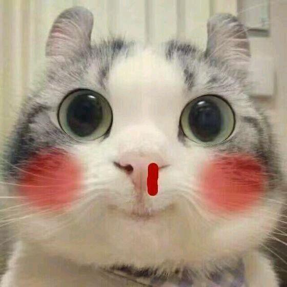 用户名73833429头像