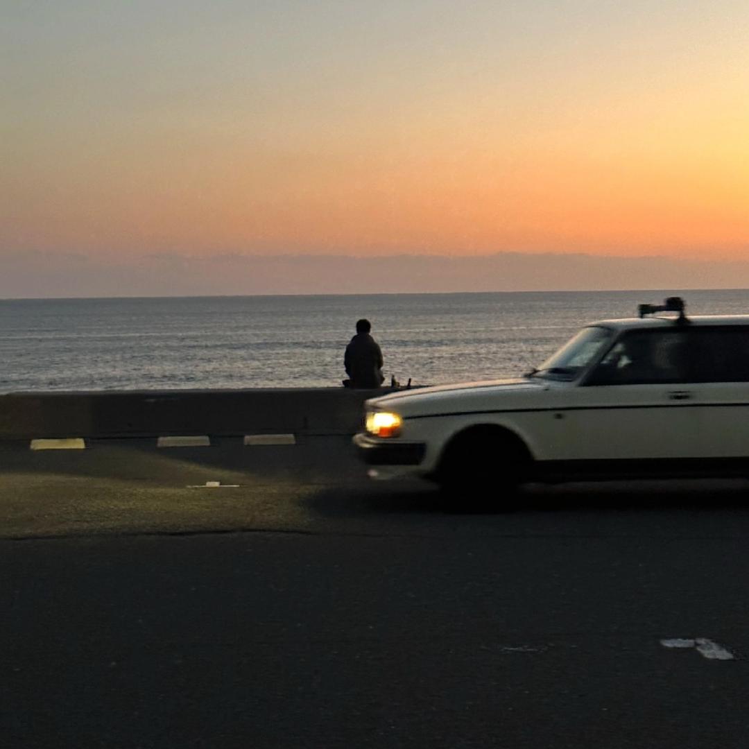 只是当时已惘然.