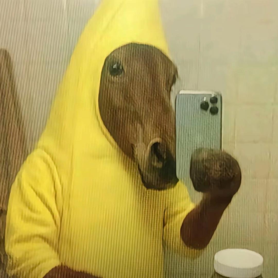 Yy＿