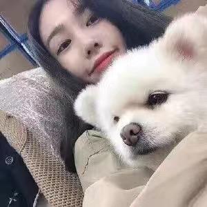 我心如向日葵般灿烂