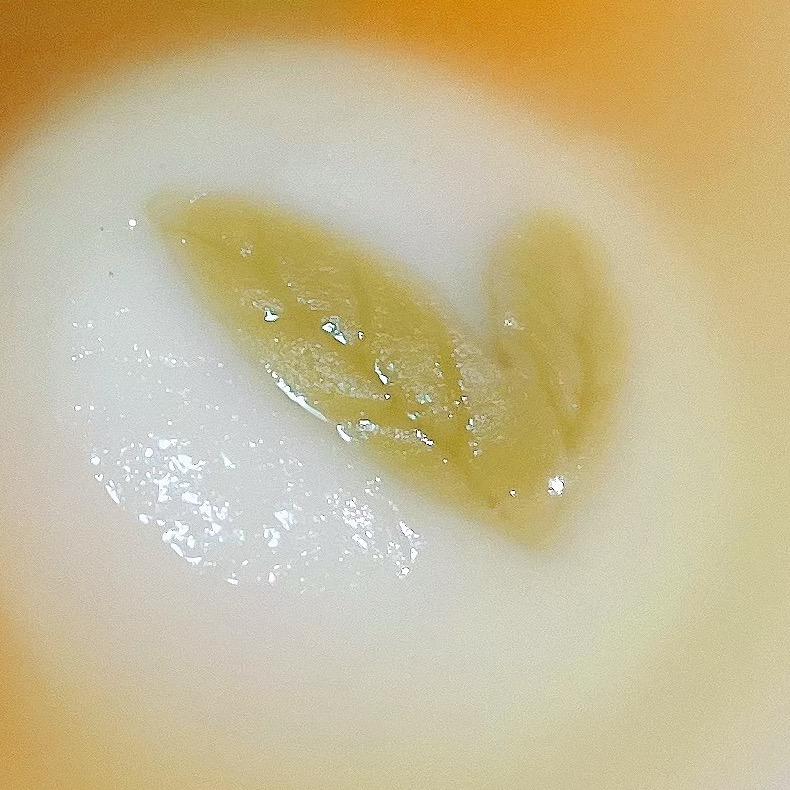 抹茶味瑞士卷