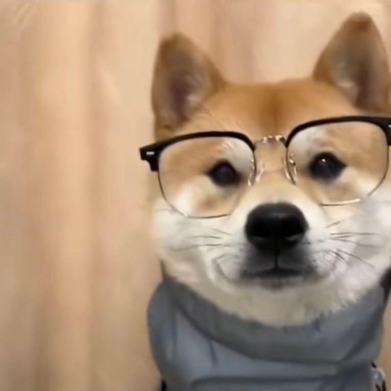 涵涵