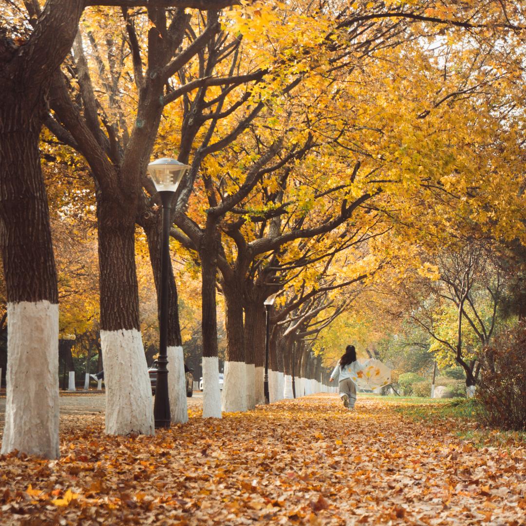 千千不是芊芊想出去玩