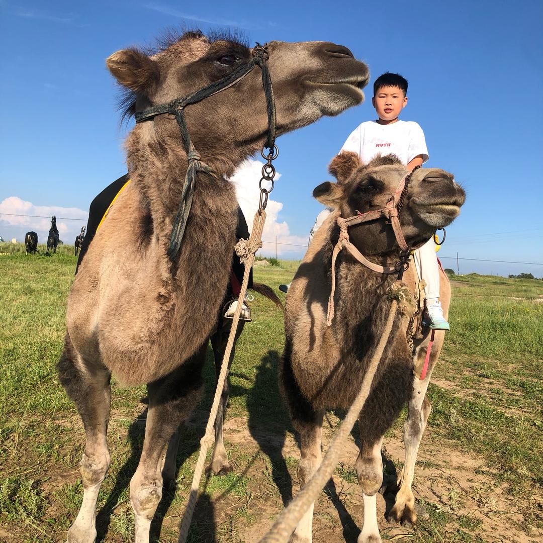 明阳妈