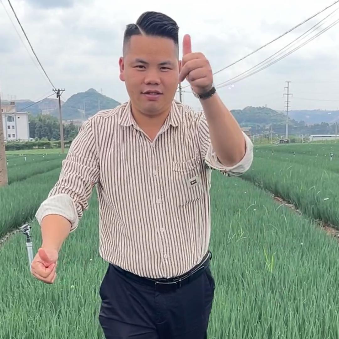 葱民灯塔