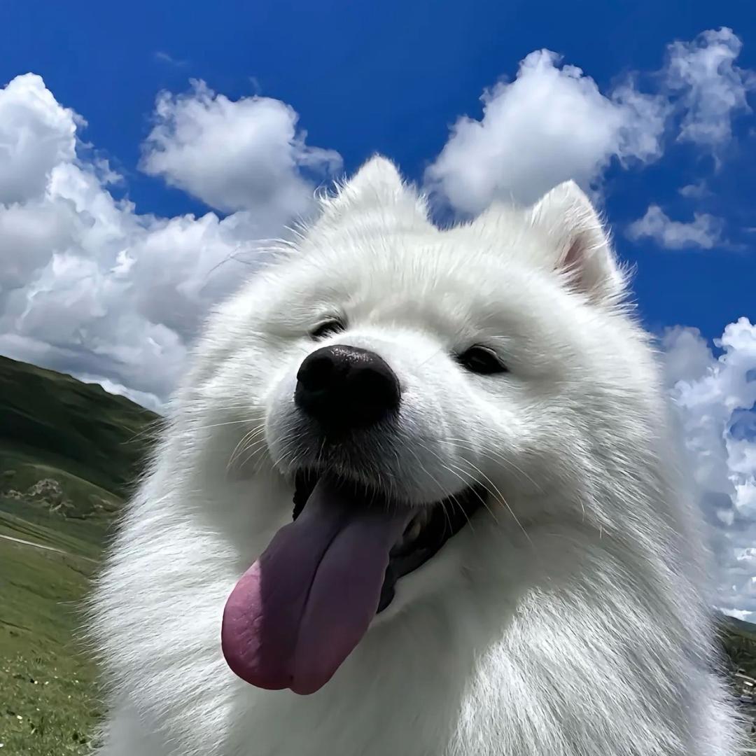 自然醒