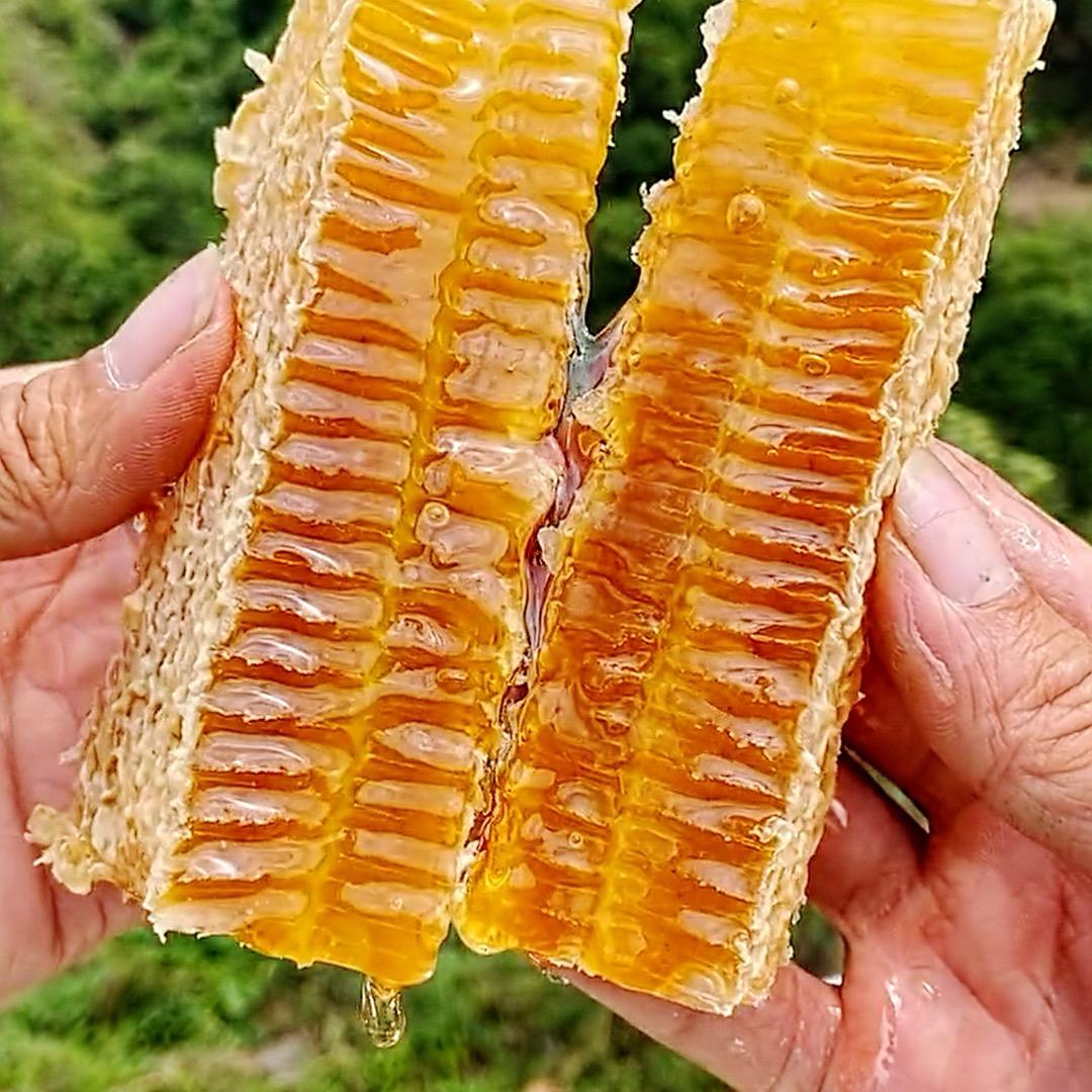 乐姐（深山土蜂蜜）