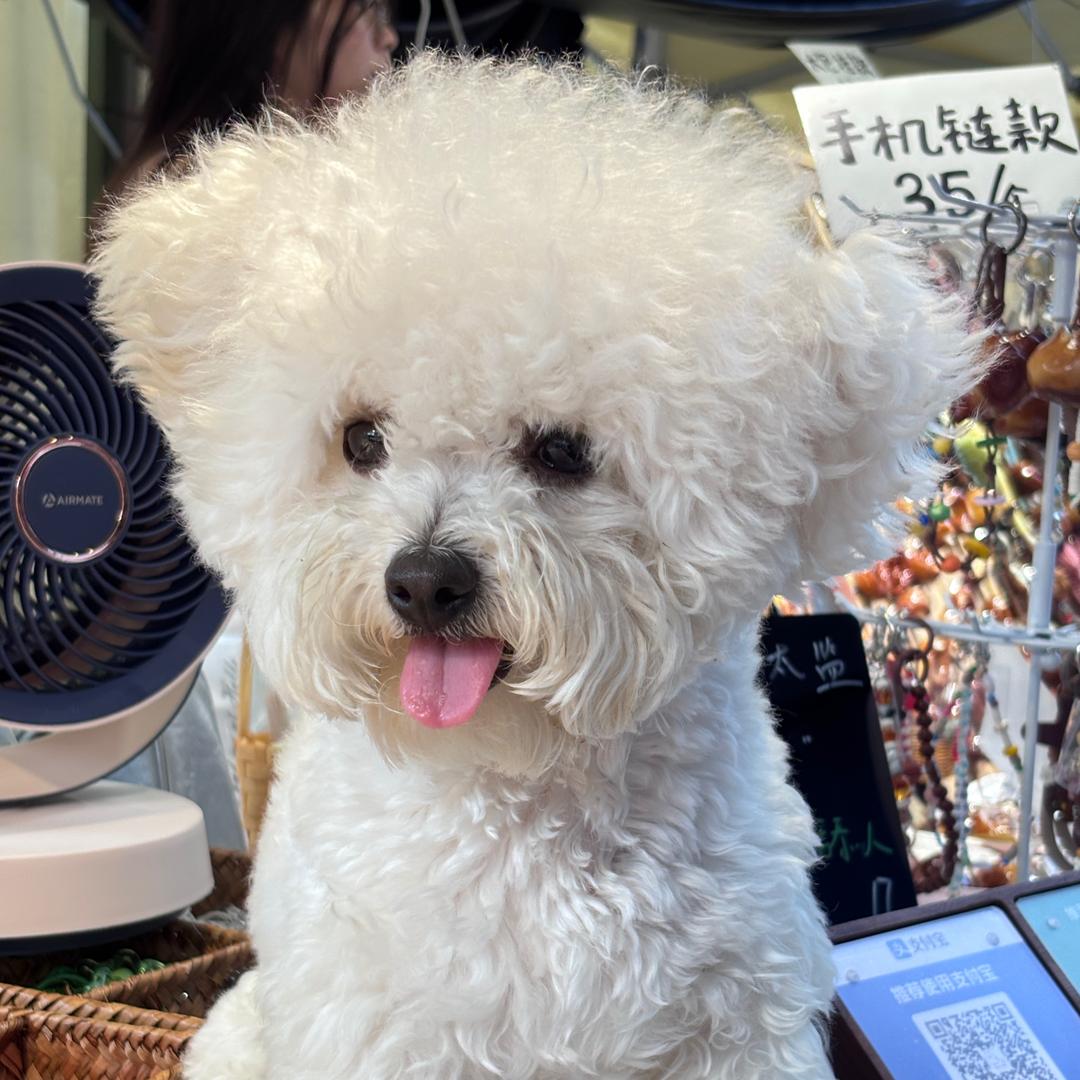 咸蛋黄味蟹壳黄