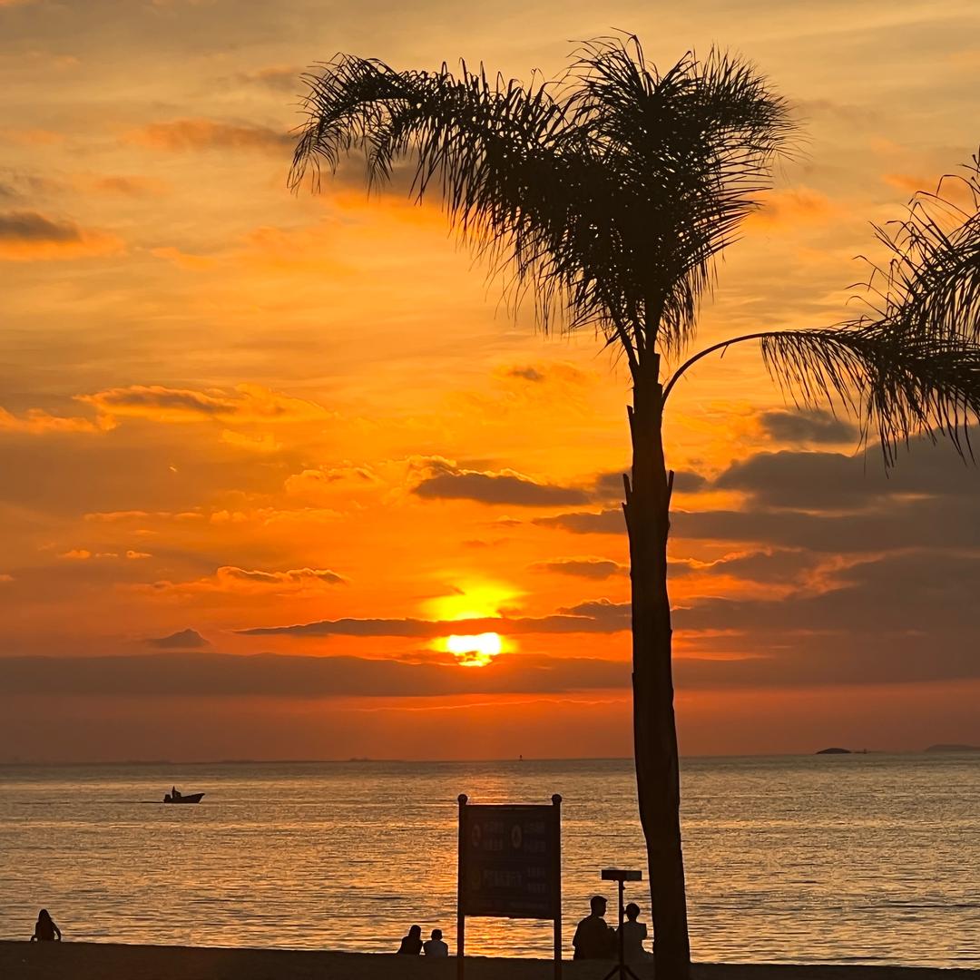 凤梨游玩爱好者