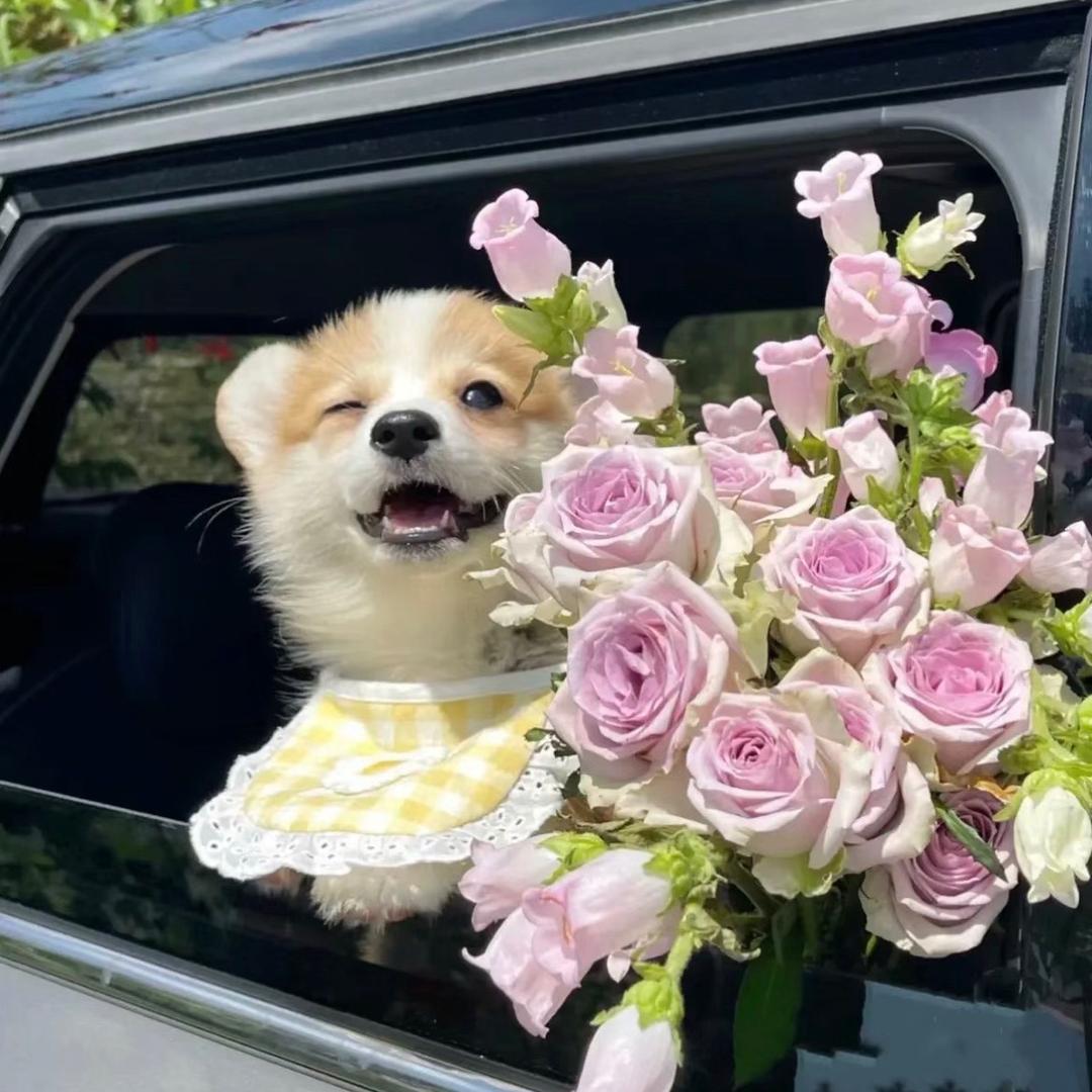 小婷婷