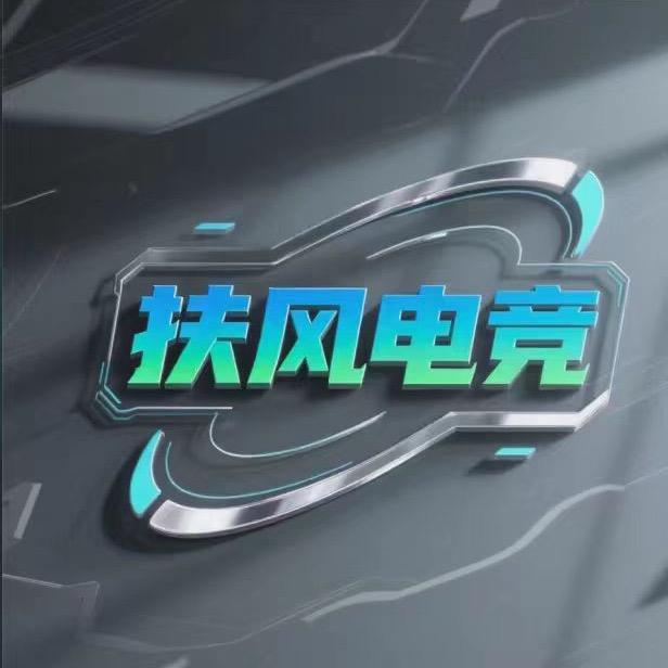 扶风电竞（三角洲招打手）