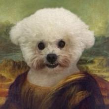 是我的大大🐶呀