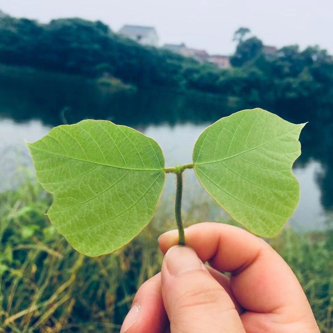 今天