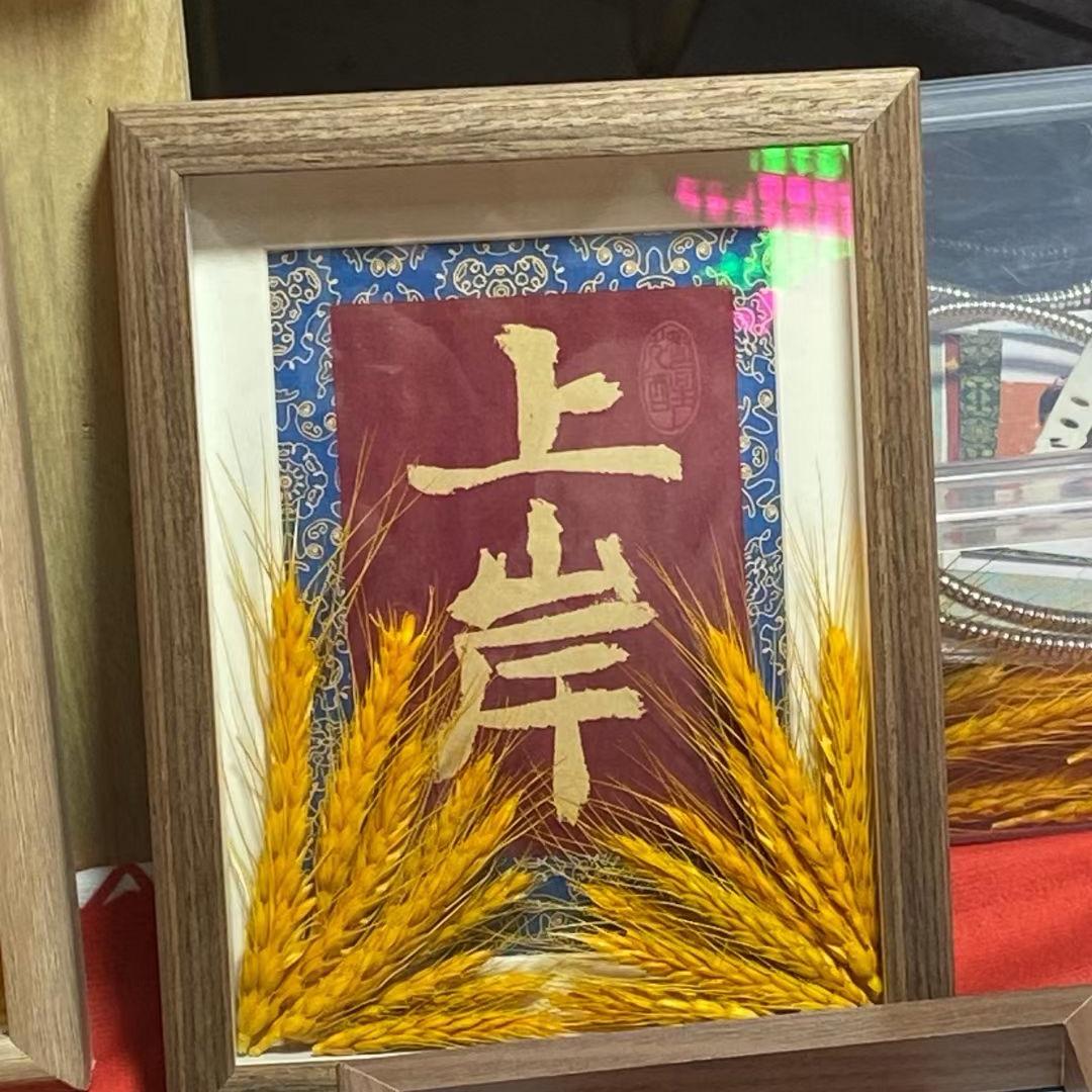 专升本——苏老师