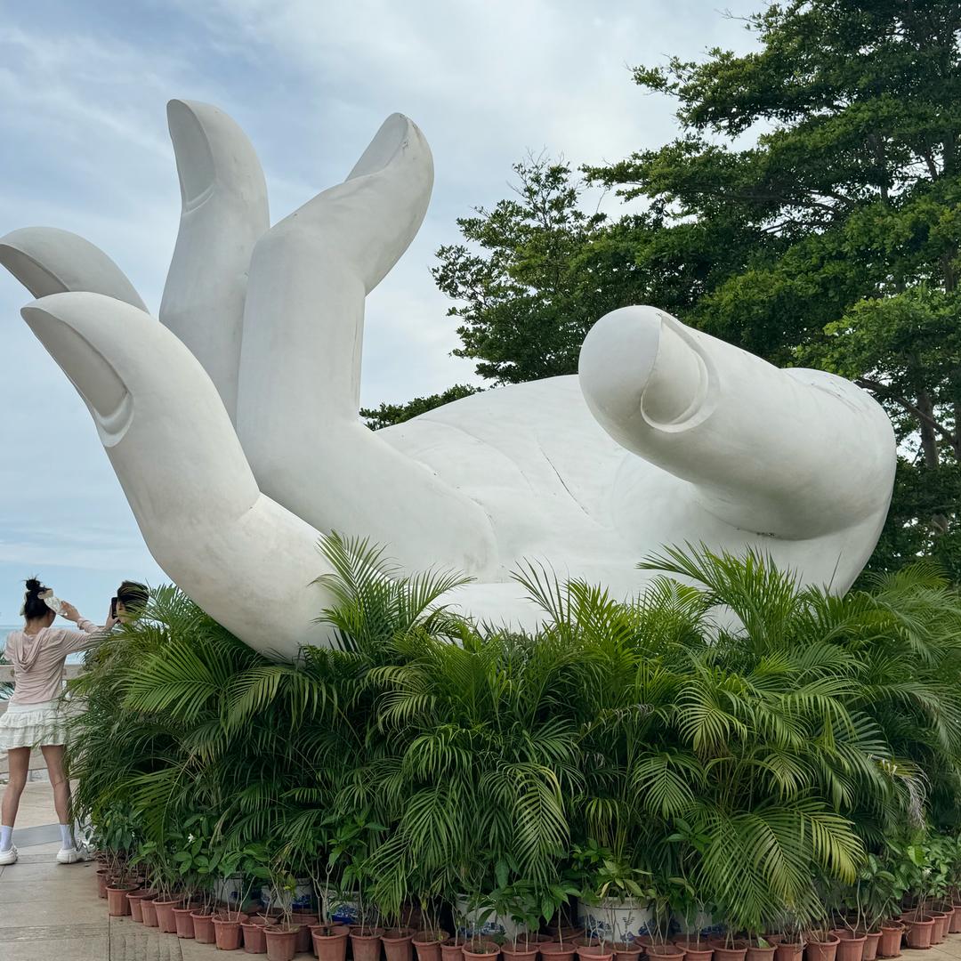 小七吖