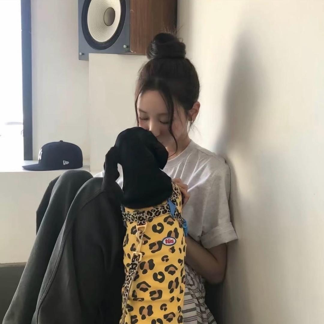 芝麻胡了吗